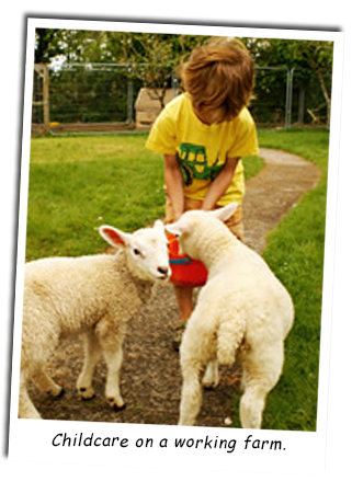 child-feeding-lambs